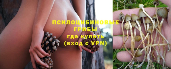 мескалин Нягань