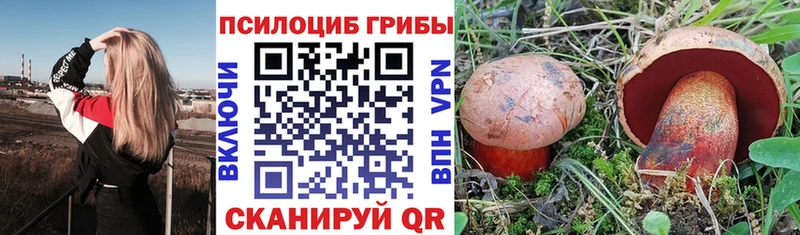 Псилоцибиновые грибы Cubensis  Лукоянов 