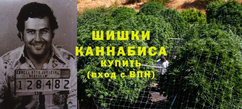 блэк спрут   Лукоянов  Канабис SATIVA & INDICA 